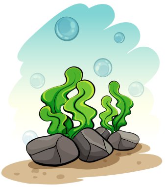 Seaweeds under the sea clipart