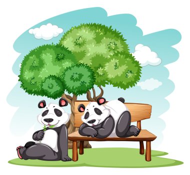 Panda ayıları parkta