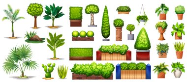 Different species of plants