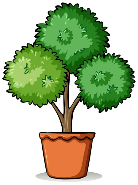 Pot with a plant — Stock Vector