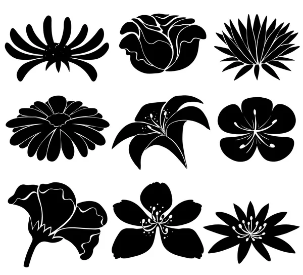 Conjunto de flores pretas — Vetor de Stock