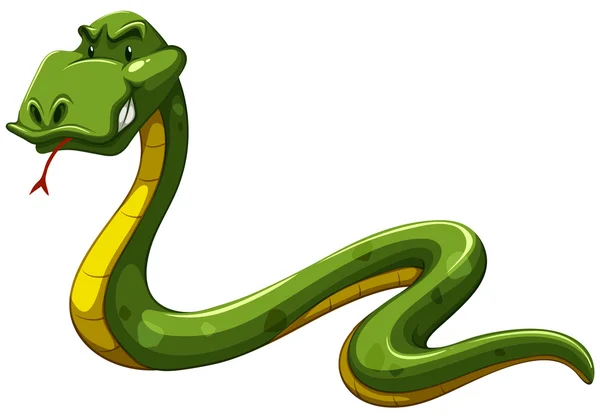 Snake, green snake — Stockvector