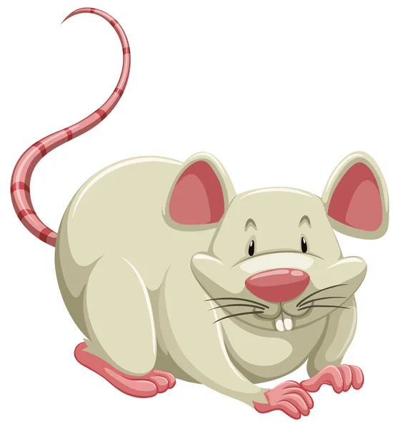 Ratón blanco — Vector de stock