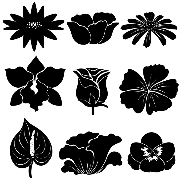 Plantillas de flores negras — Vector de stock