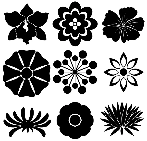 Группа цветочных шаблонов — стоковый вектор