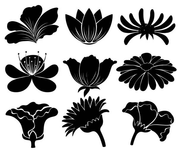 Black floral designs — Stock Vector