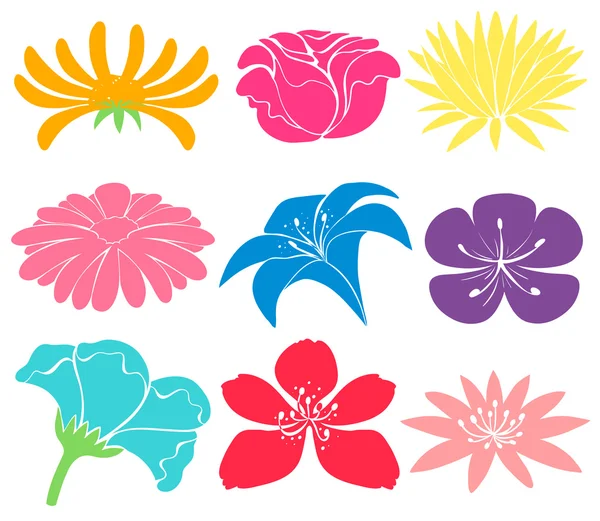 Diseños florales coloridos — Vector de stock