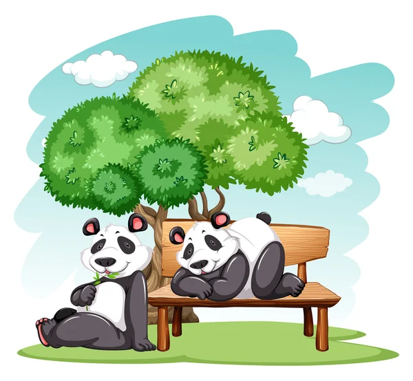 Panda bears at the park — Stock Vector