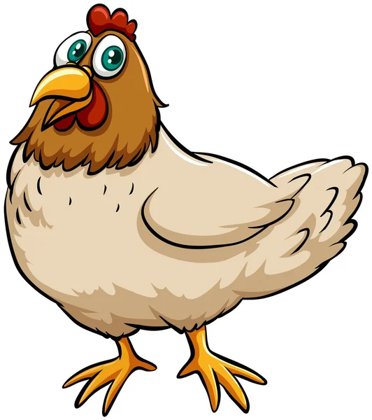 Fat spring chicken — Stock Vector