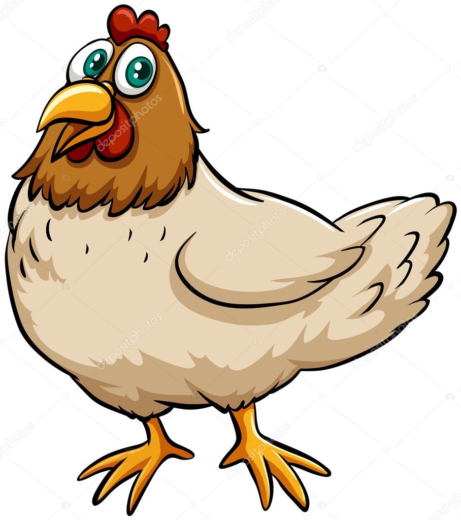 Fat spring chicken