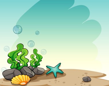 Sualtı görüntüleme