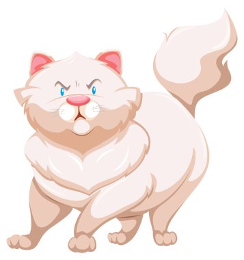 Kızgın kedi.