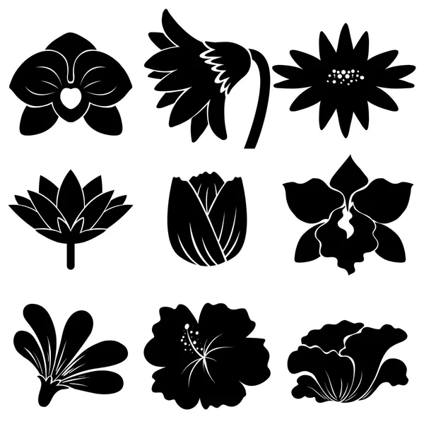 Set of black flowers — Stock Vector