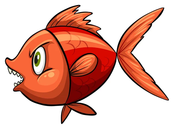 Red fish — Stock Vector