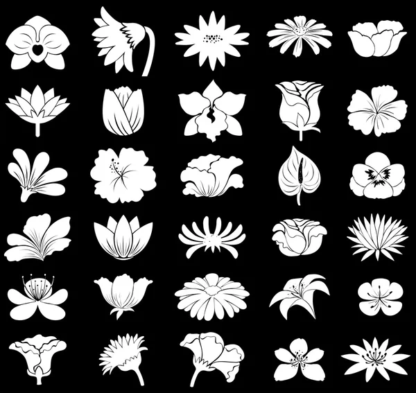 Flores — Vector de stock