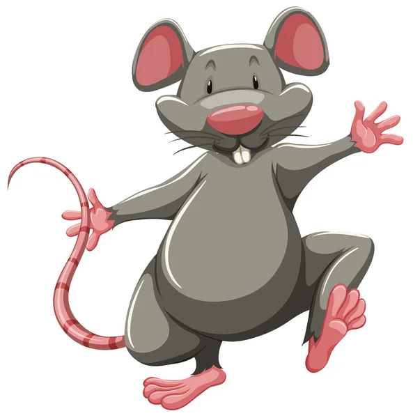 Gray rat — Stock Vector