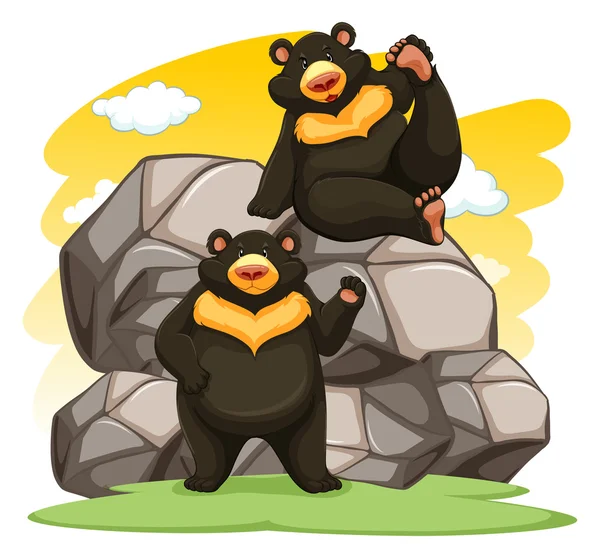 Two playful bears — Stock Vector