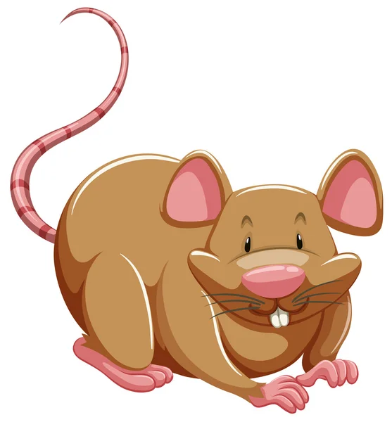 Бурая крыса — стоковый вектор