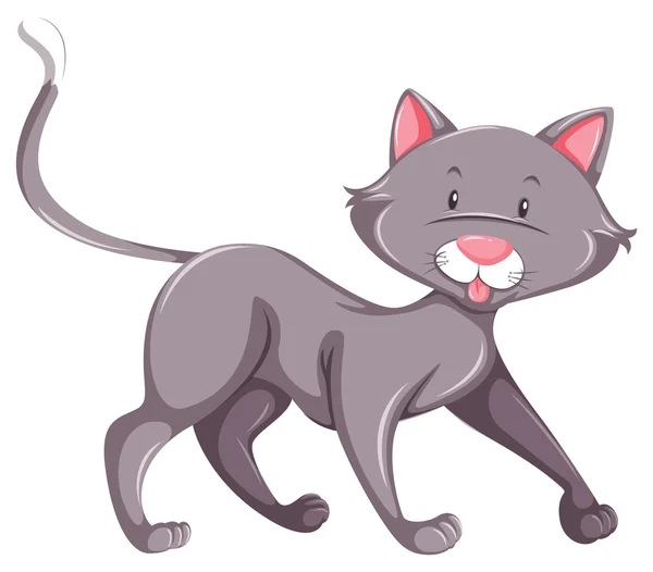 회색 고양이 — 스톡 벡터