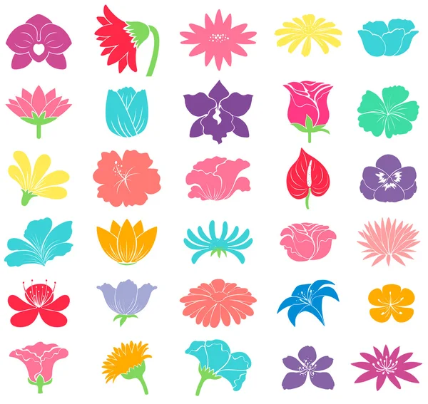 Διαφορετικές floral σχέδια — Διανυσματικό Αρχείο
