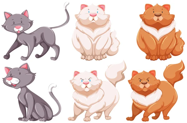 Diferentes especies de gatos — Vector de stock