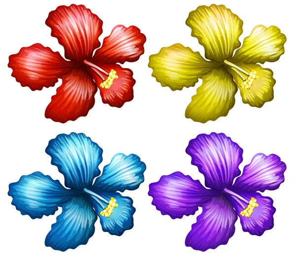 Набор цветов гумамелы — стоковый вектор