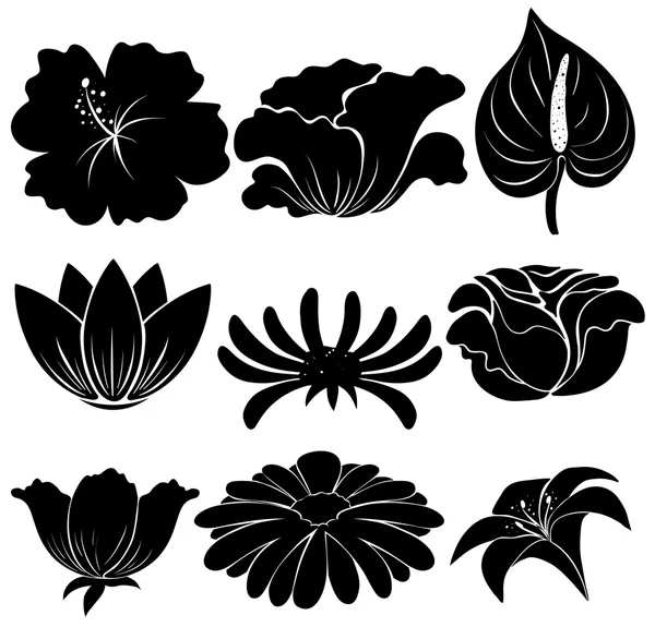Schwarze Pflanzen — Stockvektor