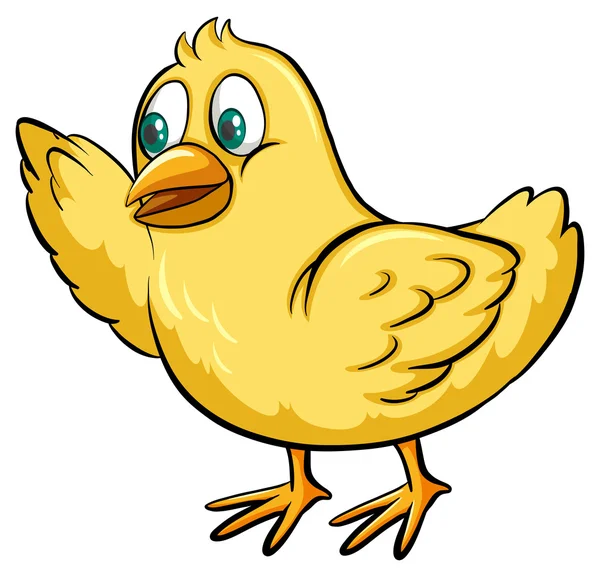 Pollito amarillo — Vector de stock