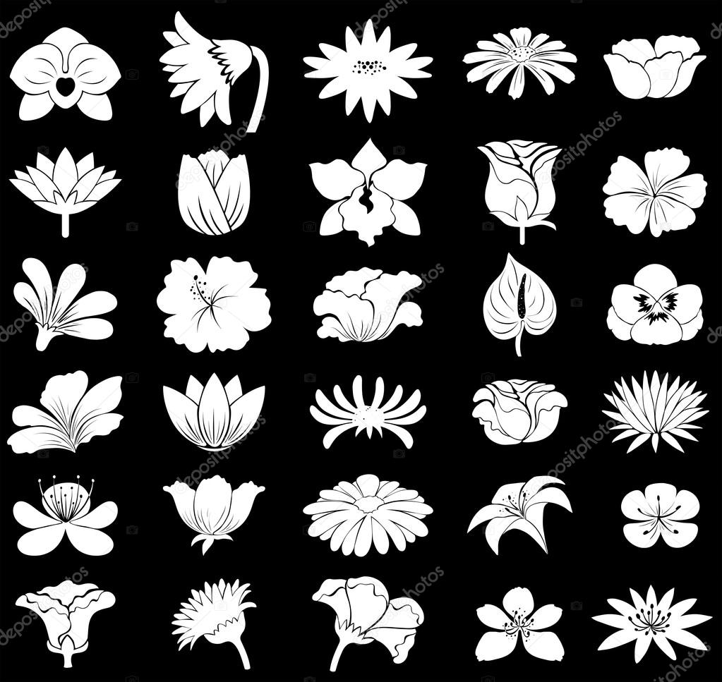 Tipos De Flores Dibujo Flowers Stock Vector by ©blueringmedia 68678289