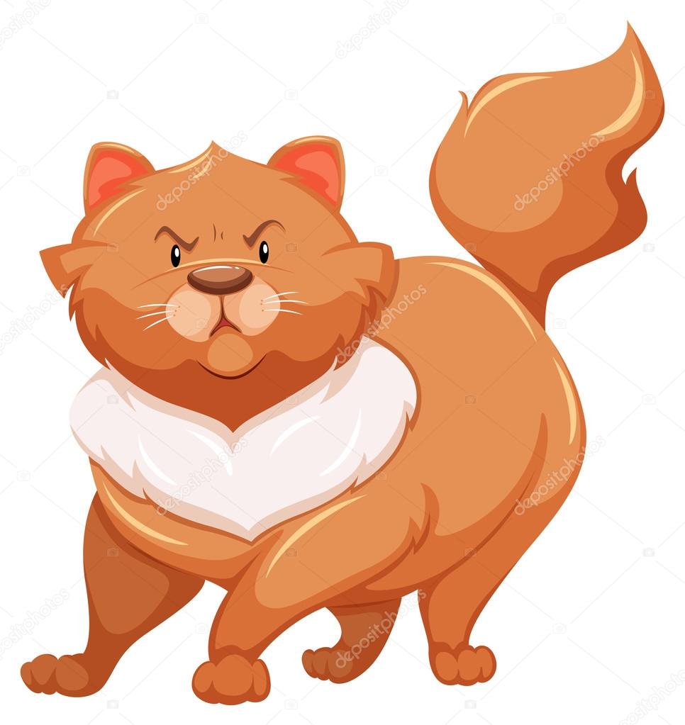 Fat cat