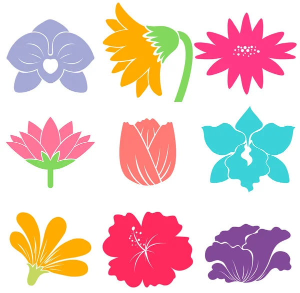 Flores — Vector de stock