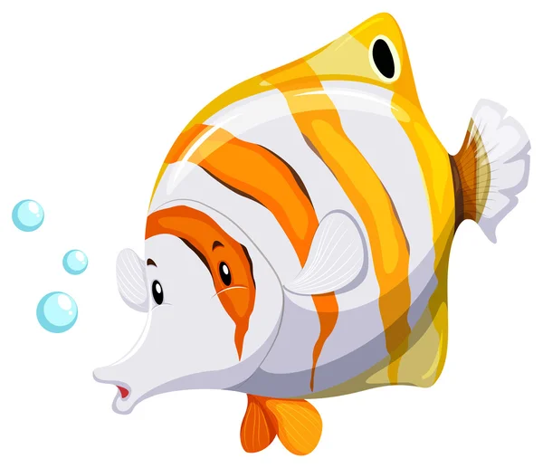 A fish — Stock Vector