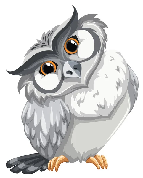 An owl — Stock Vector