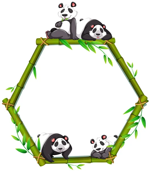 Panda — Stock Vector