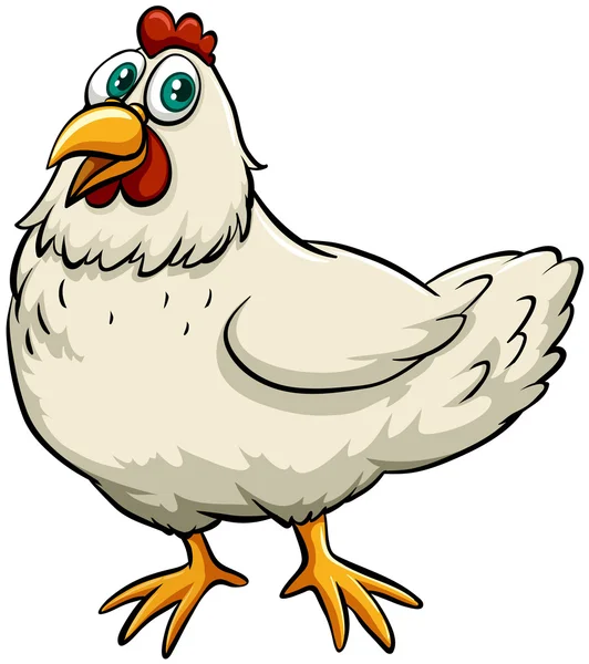 Pollo — Vector de stock