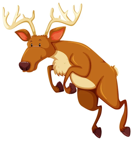 A deer — Stock Vector