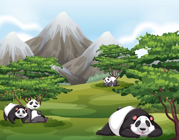 Pandas in forest — Stock Vector