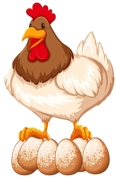 Pollo — Vector de stock