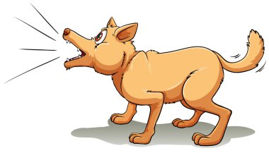 Barking