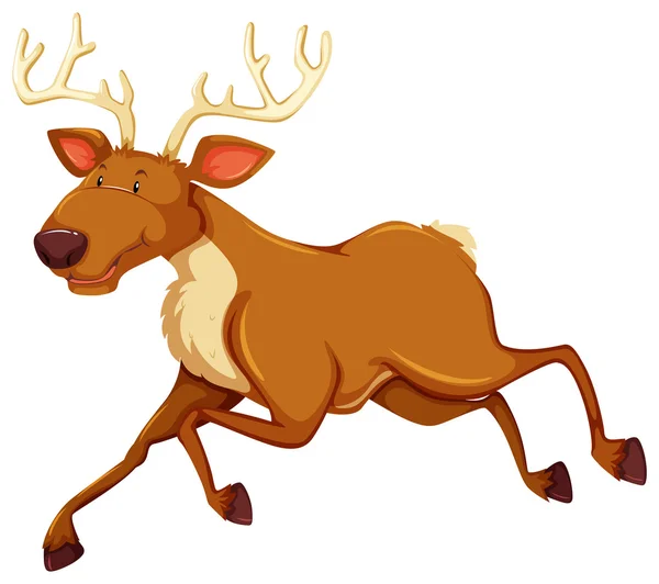 A deer — Stock Vector