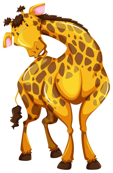 Giraffe — Stock Vector