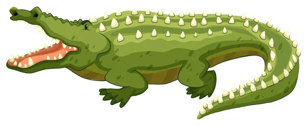 Crocodile — Stock Vector