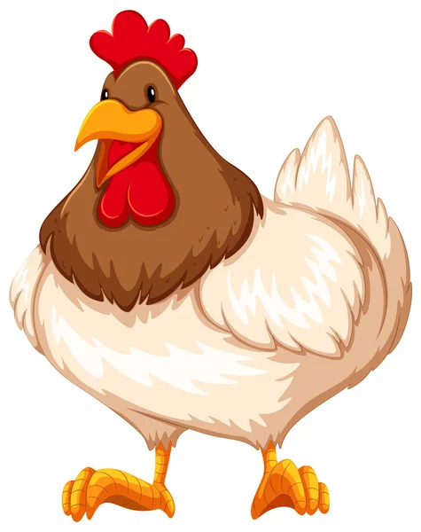 Pollo — Vector de stock