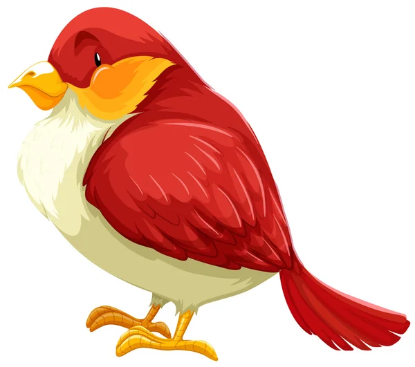 Pájaro rojo — Archivo Imágenes Vectoriales