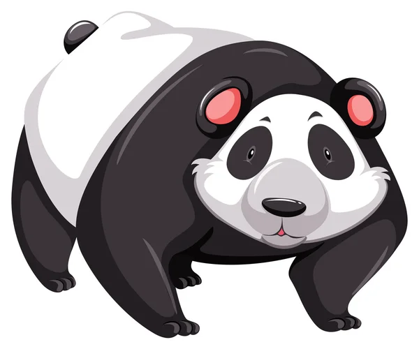 Panda — Stockvector