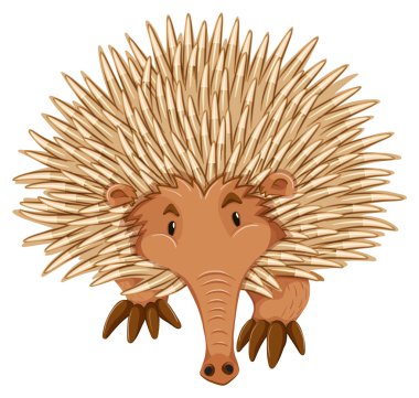 dikenli karıncayiyengiller