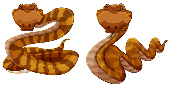 Snakes — Stock Vector