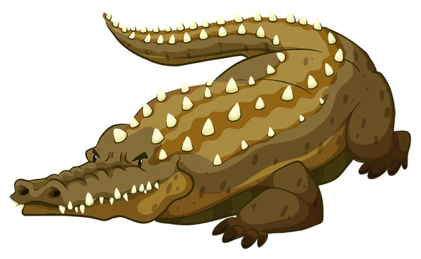 Krokodyl — Wektor stockowy