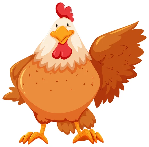 Pollo — Vector de stock