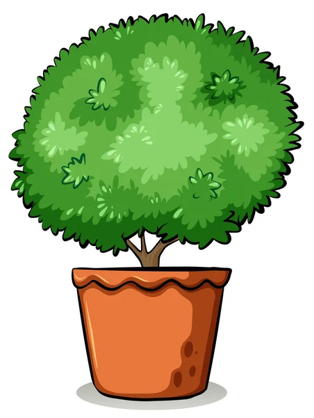 Plant — Stock Vector